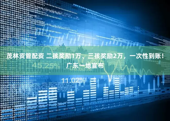 茂林资管配资 二孩奖励1万、三孩奖励2万，一次性到账！广东一地宣布