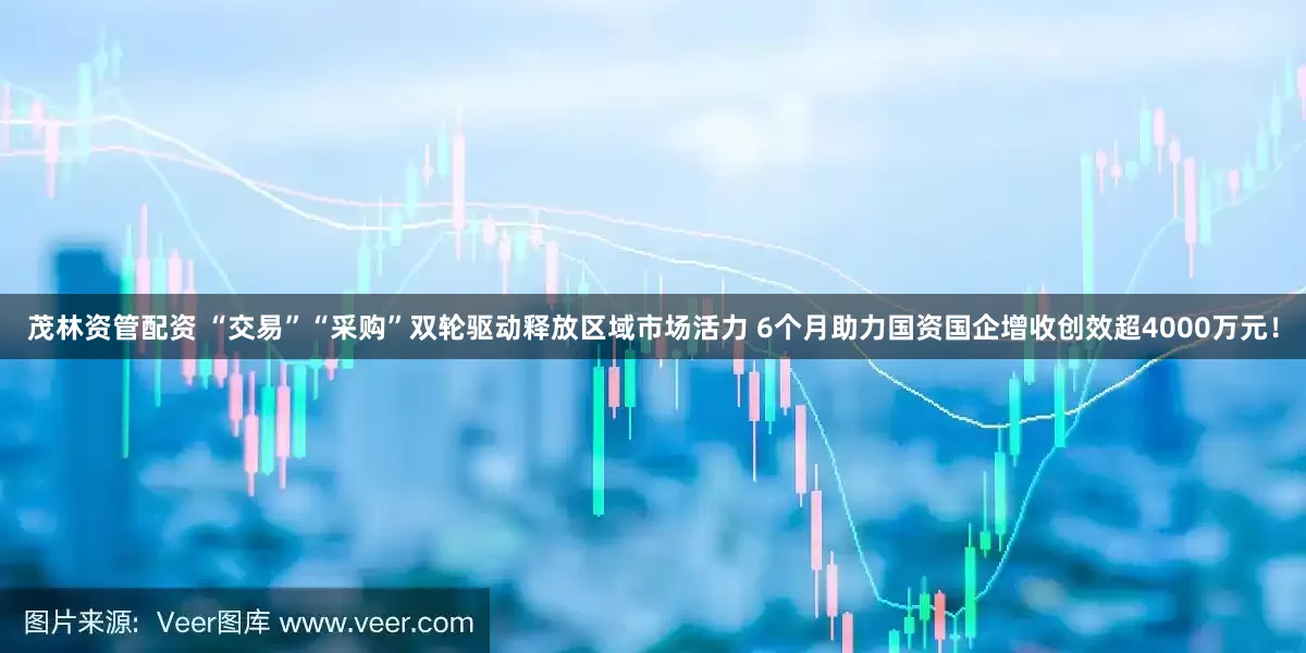 茂林资管配资 “交易”“采购”双轮驱动释放区域市场活力 6个月助力国资国企增收创效超4000万元！