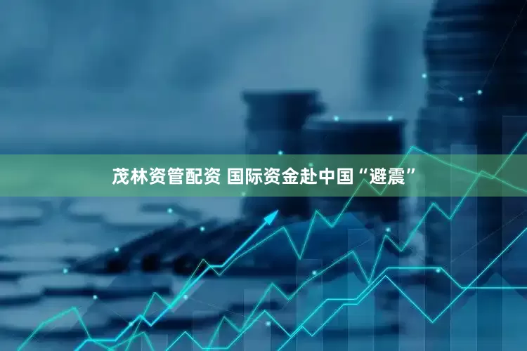 茂林资管配资 国际资金赴中国“避震”