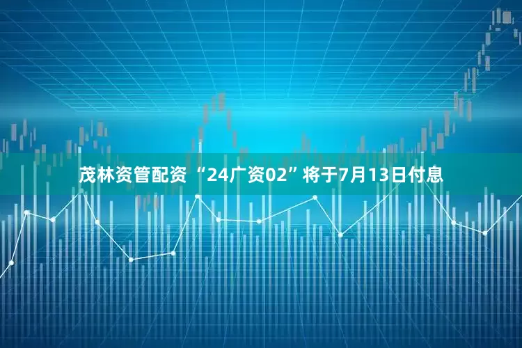 茂林资管配资 “24广资02”将于7月13日付息